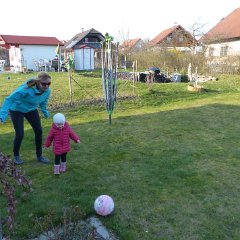 PIC 858